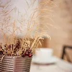 Country house Millan *